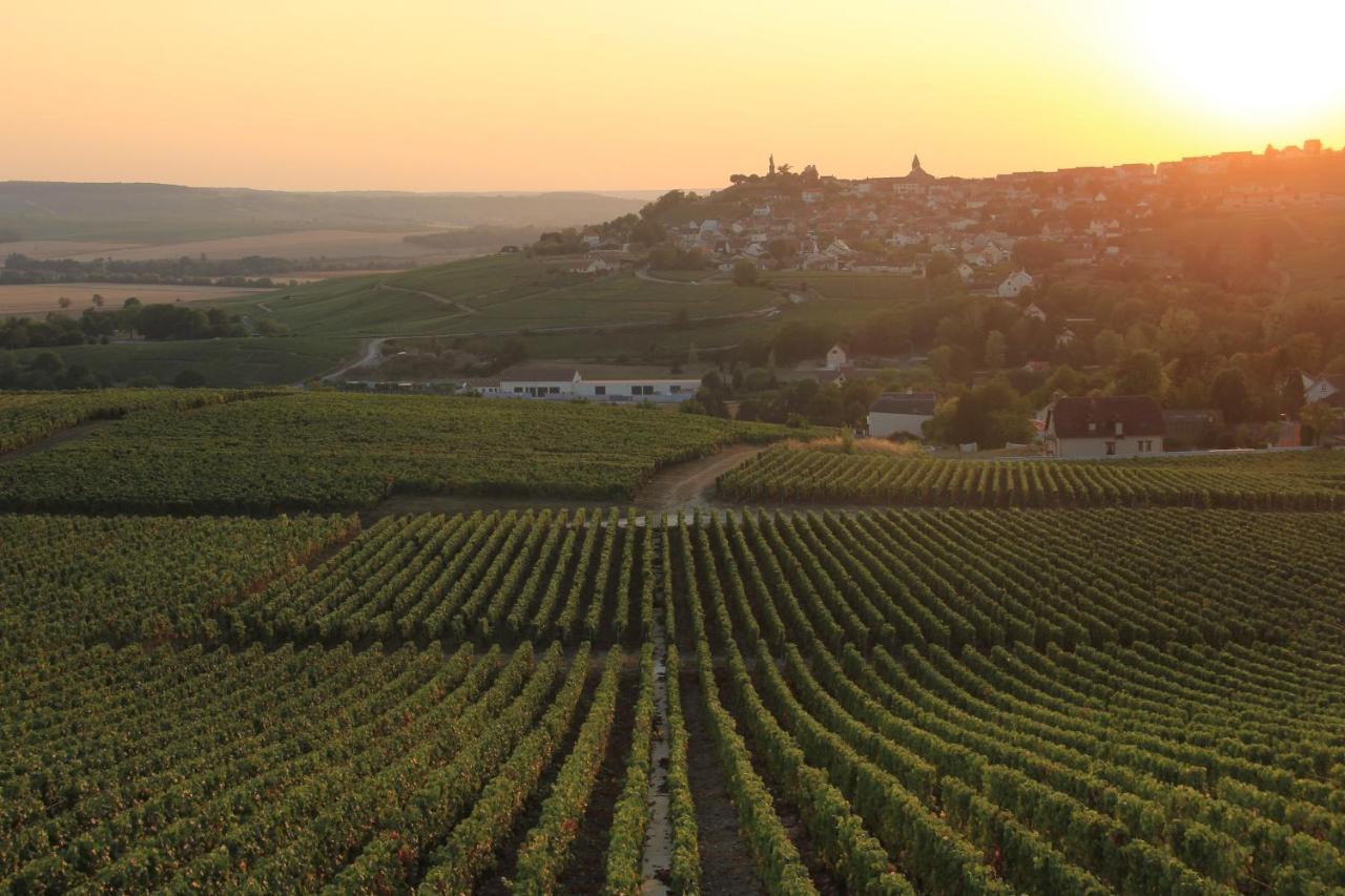 Lodge De La Vigneronne Châtillon-sur-Marne Eksteriør bilde