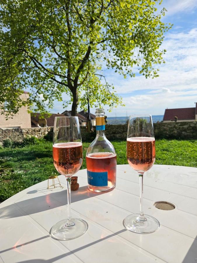 Lodge De La Vigneronne Châtillon-sur-Marne Eksteriør bilde